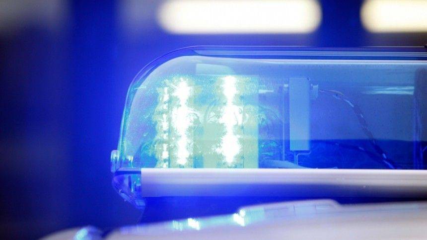 Шокирующие кадры: Избитого шестилетнего мальчика нашли в квартире в Новороссийске - 5-tv.ru - Новороссийск