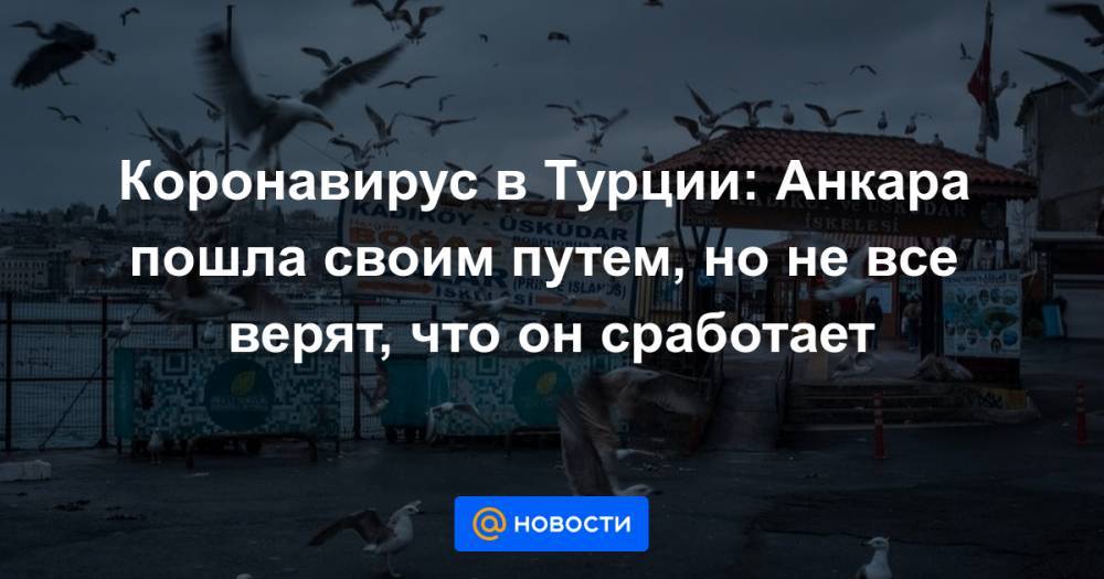 Реджеп Тайип Эрдоган - Коронавирус в Турции: Анкара пошла своим путем, но не все верят, что он сработает - news.mail.ru - Россия - Сирия - Грузия - Турция - Анкара - Стамбул