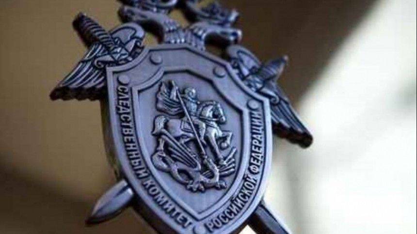 СК возбудил уголовное дело по факту жестокого избиения ребенка матерью в Новороссийске - 5-tv.ru - Россия - Краснодарский край - Новороссийск