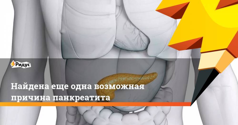 Найдена еще одна возможная причина панкреатита - ridus.ru