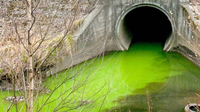 Воды Лиговского канала сменили цвет на едко-зеленый - piter.tv