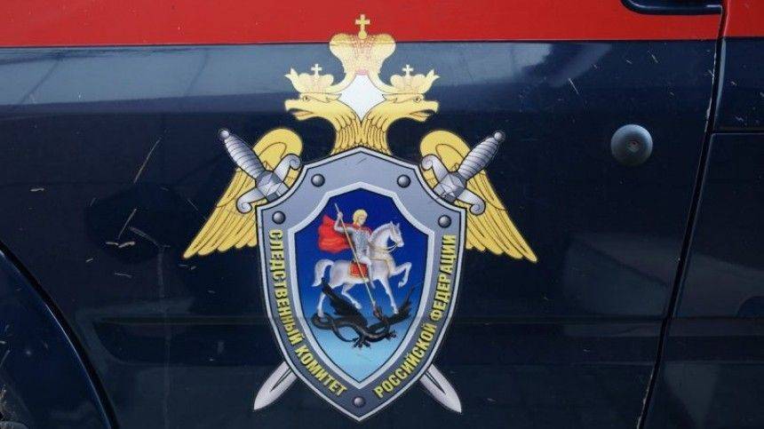 СК РФ проводит проверку по факту массовых убийств в Карелии в годы ВОВ - 5-tv.ru - Россия - Карелия