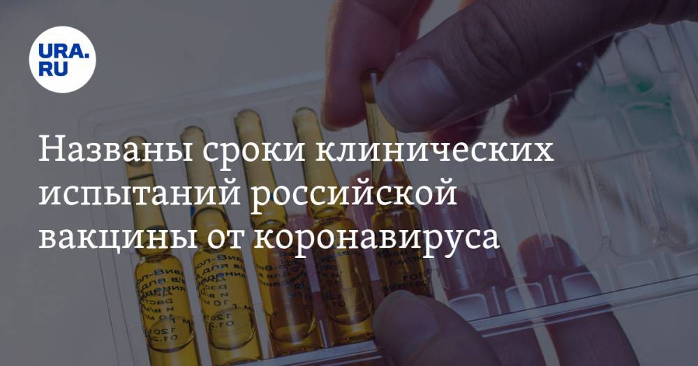 Владимир Путин - Михаил Мурашко - Александр Гинцбург - Названы сроки клинических испытаний российской вакцины от коронавируса - ura.news - Россия