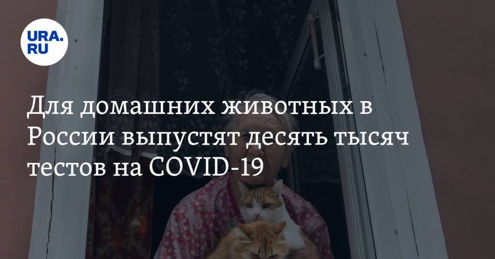 Названы наиболее восприимчивые к коронавирусу домашние животные - ura.news - Россия