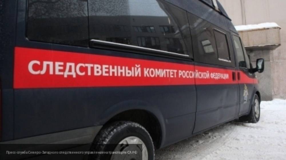 СК разыскивает авторов фейка про массовые вывозы трупов из больницы в Крылатском - inforeactor.ru - Россия