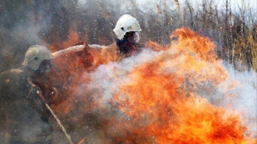 Лесные пожары охватили пять регионов России - 5-tv.ru - Россия - Красноярский край - Иркутская обл. - Краснодарский край - респ. Адыгея