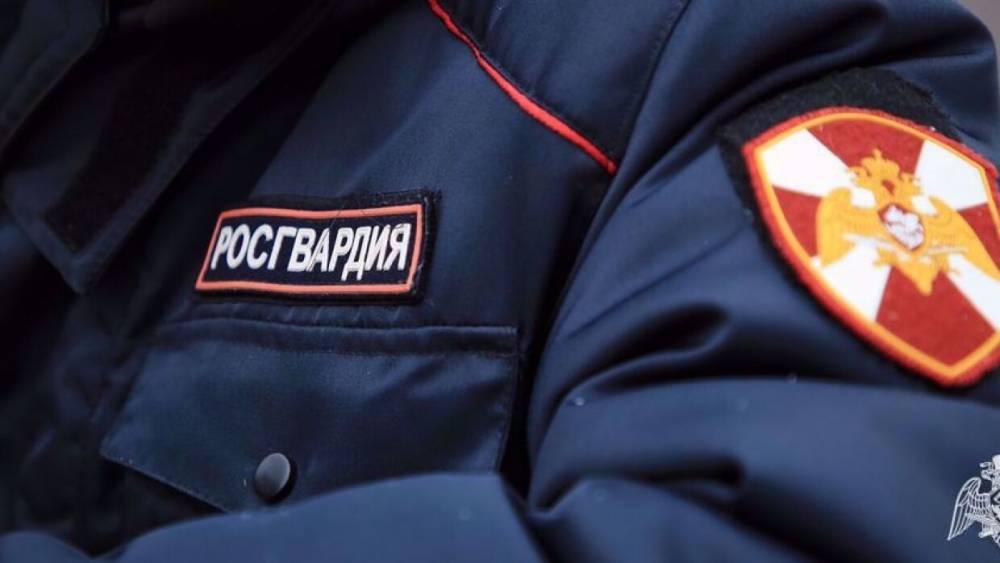 Михаил Мишустин - Мишустин выделил Росгвардии 1,3 млрд рублей на закупку средств защиты от коронавируса - riafan.ru - Москва - Россия
