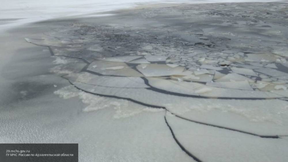 Пенсионер при помощи двери от забора вытащил из воды семейную пару в Иркутской области - inforeactor.ru - Иркутская обл.