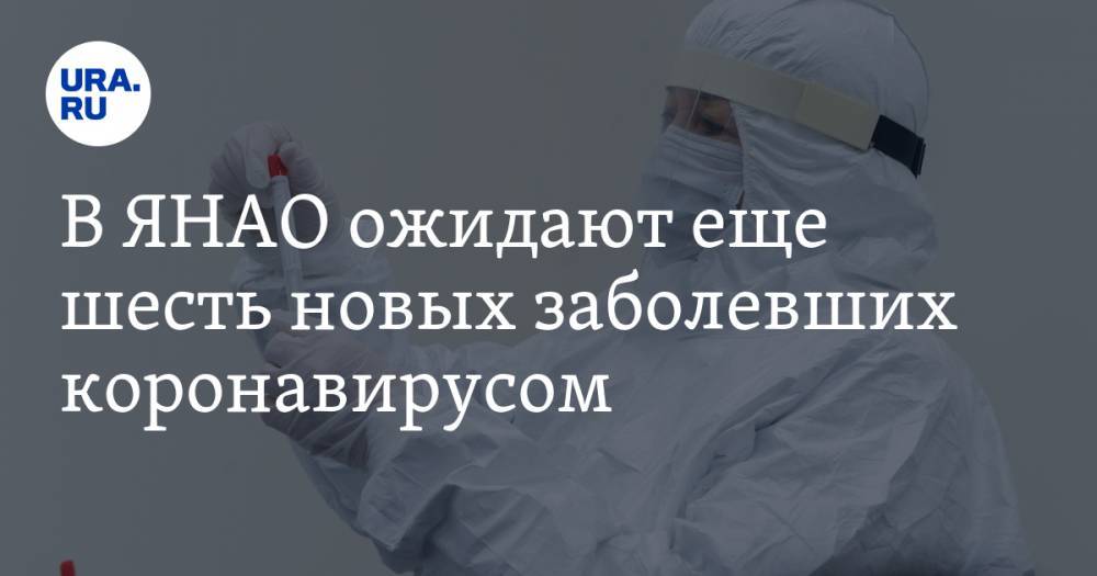 Дмитрий Артюхов - Ямала Дмитрий Артюхов - В ЯНАО ожидают еще шесть новых заболевших коронавирусом - ura.news - окр. Янао
