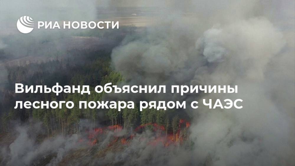 Роман Вильфанд - Вильфанд объяснил причины лесного пожара рядом с ЧАЭС - ria.ru - Москва - Россия - Украина