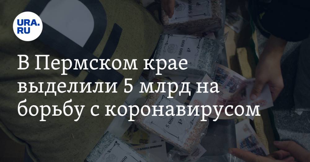 Дмитрий Махонин - В Пермском крае выделили 5 млрд на борьбу с коронавирусом - ura.news - Пермский край