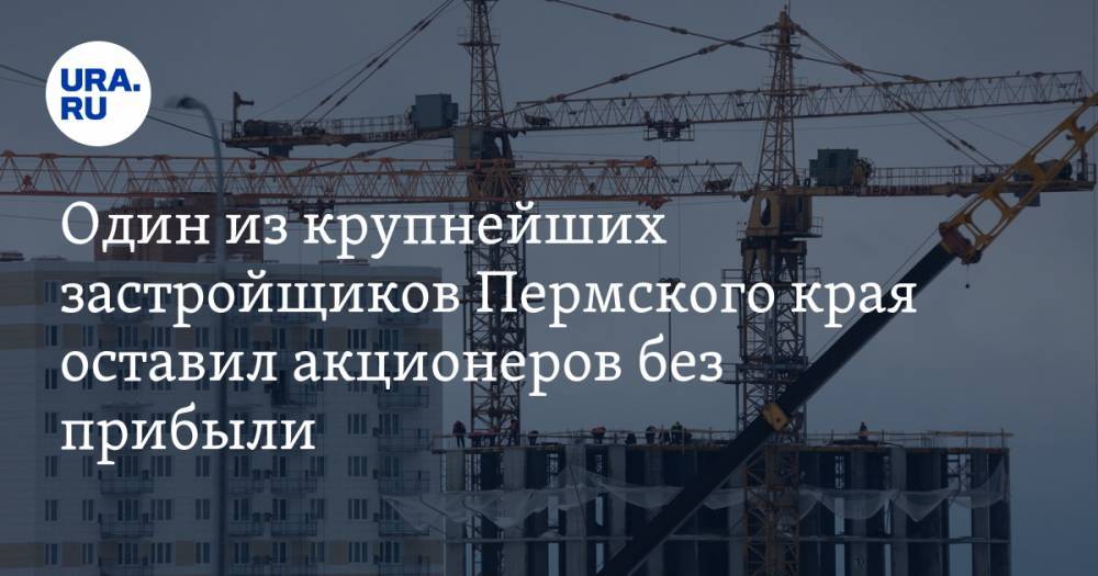 Алексей Демкин - Один из крупнейших застройщиков Пермского края оставил акционеров без прибыли - ura.news - Пермь - Пермский край