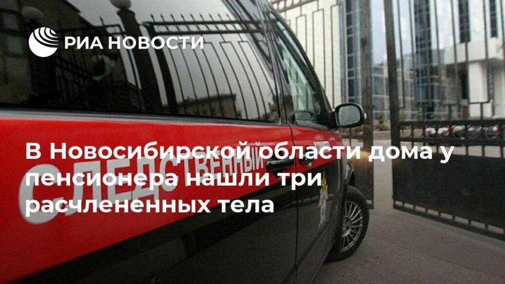 В Новосибирской области дома у пенсионера нашли три расчлененных тела - ria.ru - Россия - Новосибирск - Новосибирская обл.