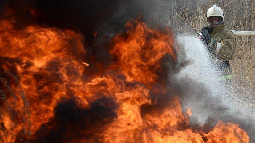 Огонь охватил более 250 тысяч гектар в Новосибирской области - 5-tv.ru - Россия - Новосибирская обл.