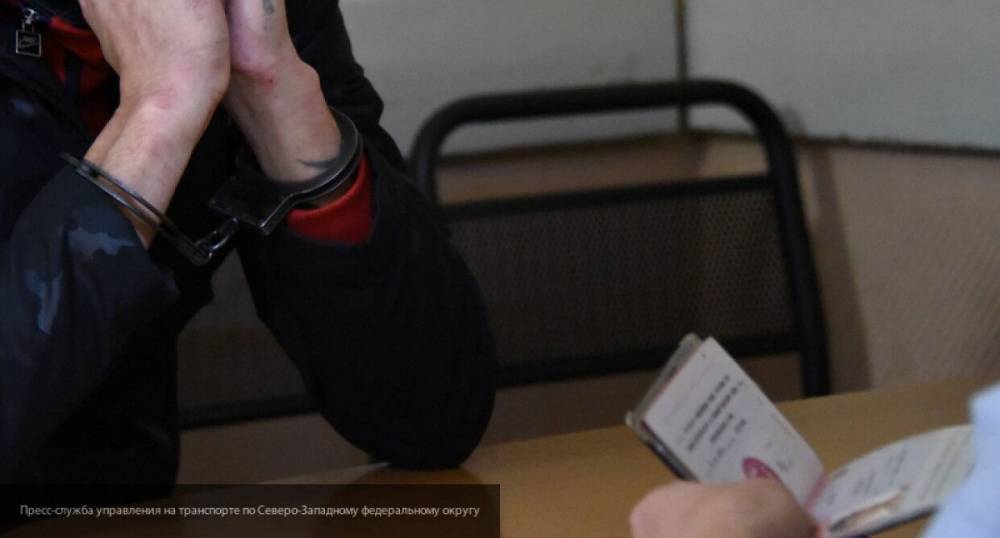 Мария Базарева - Полиция задержала мужчину за подделывание справки, позволяющей передвигаться по Москве - nation-news.ru - Москва - Россия