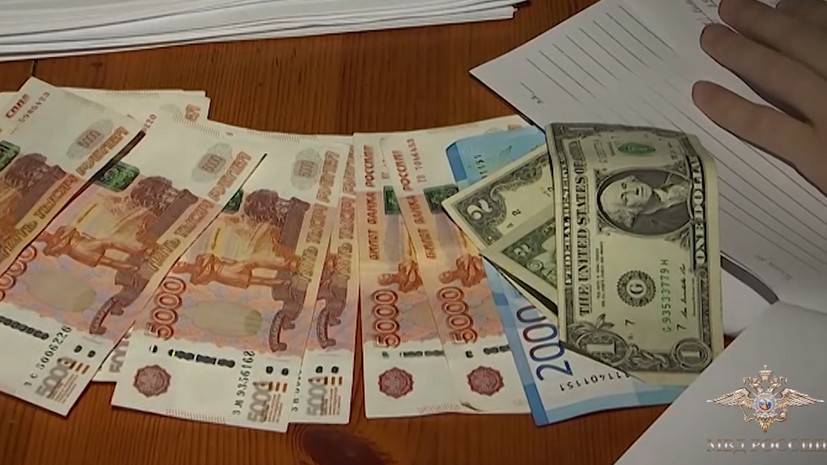 Ирина Волк - Задержана банда мошенников, обманувших пенсионеров на 22 млн рублей - russian.rt.com
