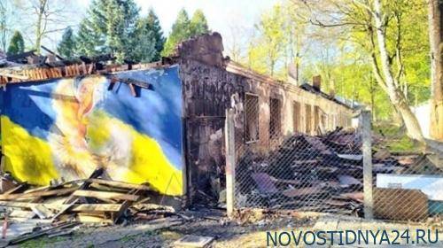 Андрей Садовый - «Фениксы» — наследники патриотизма из дурдома - novostidnya24.ru - Львов - Львовская обл.