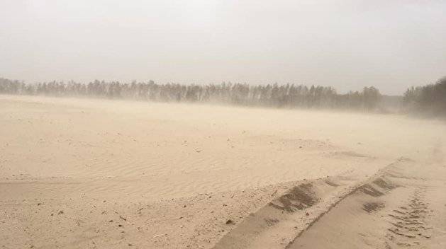Михаил Булгаков - Пустыни Черниговщины. Как жадность уничтожает «аграрную супердержаву» - newsland.com - Украина - Киев