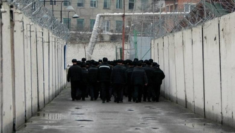 Павел Крашенинников - Амнистию к 75-летию Победы в Госдуме не запланировали - newizv.ru
