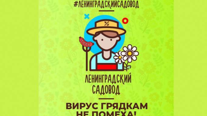 Новый конкурс #ЛенинградскийCадовод объявлен в Ленобласти - piter.tv - Ленинградская обл.