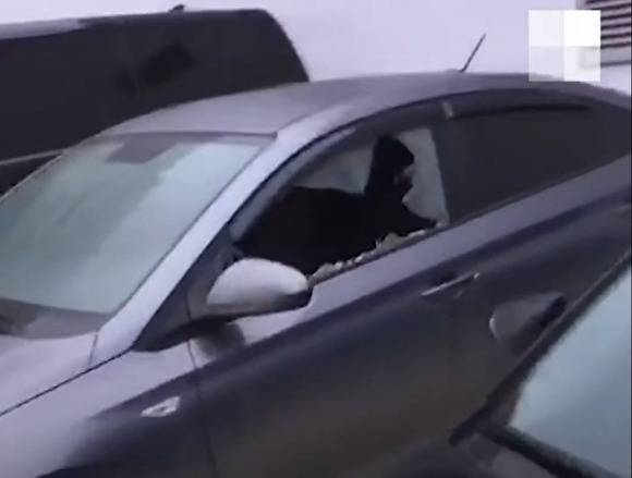 В Екатеринбурге на парковке у дома неизвестные выбили стекла у девяти автомобилей - znak.com - Екатеринбург