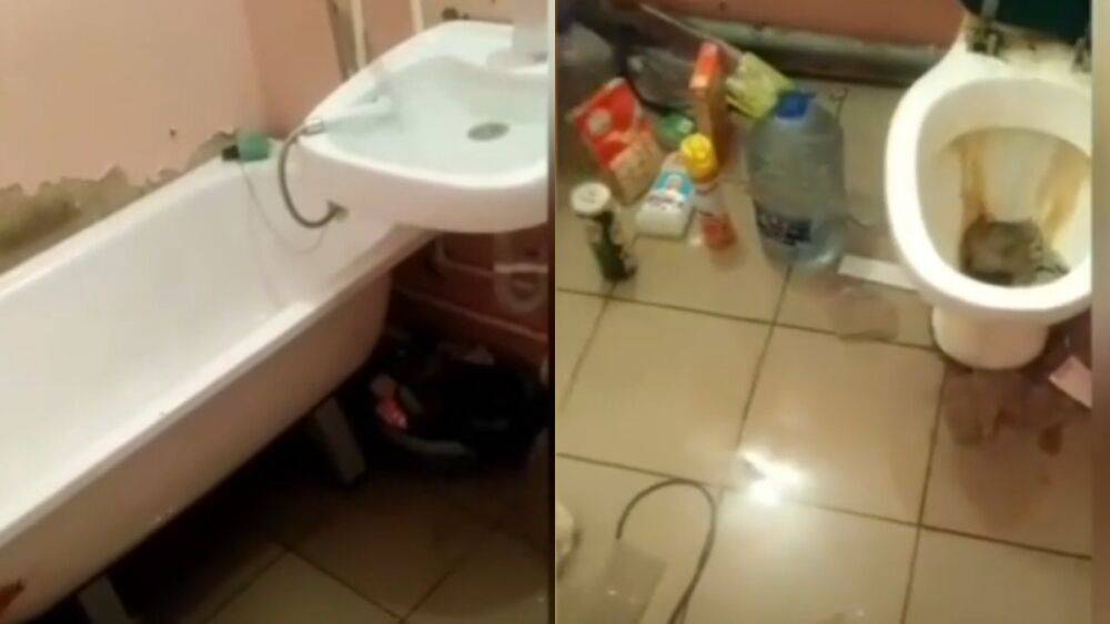 Жестоко избитого ребенка нашли в затопленной квартире в Новороссийске - riafan.ru - Россия - Краснодарский край - Новороссийск