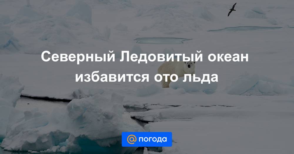Северный Ледовитый океан избавится ото льда - news.mail.ru - Германия