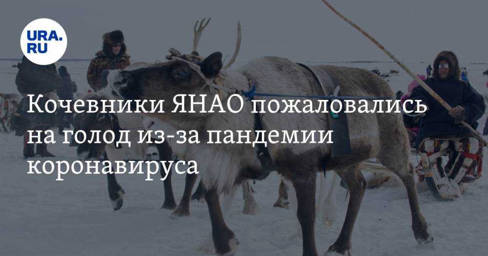 Кочевники ЯНАО пожаловались на голод из-за пандемии коронавируса - ura.news - окр. Янао