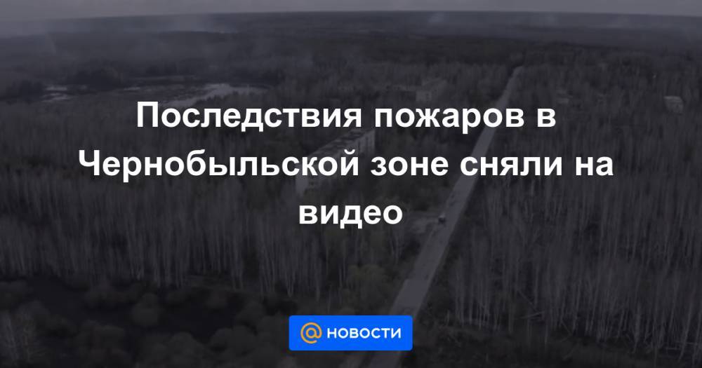 Арсен Аваков - Последствия пожаров в Чернобыльской зоне сняли на видео - news.mail.ru - Украина - Белоруссия - Житомирская обл.