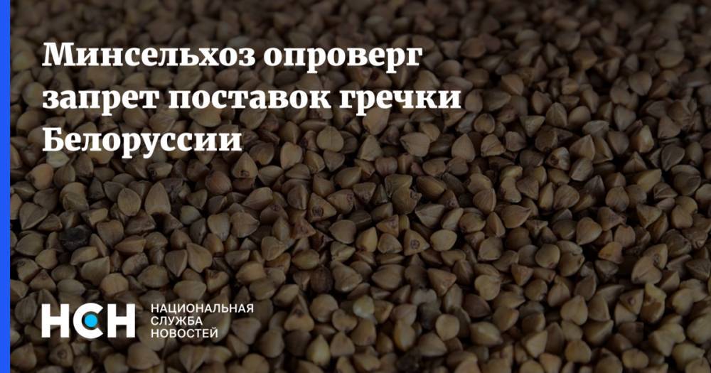 Александр Лукашенко - Минсельхоз опроверг запрет поставок гречки Белоруссии - nsn.fm - Россия - Армения - Казахстан - Белоруссия - Киргизия - Бобруйск