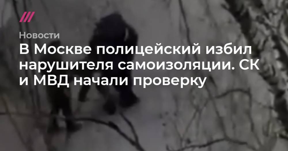 В Москве полицейский избил нарушителя самоизоляции. СК и МВД начали проверку - tvrain.ru - Москва - Россия