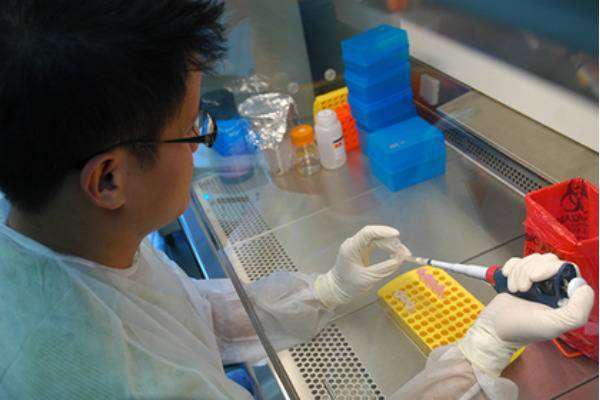 Китайские ученые успешно испытали вакцину от COVID-19 на обезьянах - trud.ru
