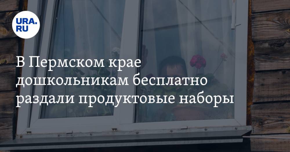 Дмитрий Махонин - В Прикамье дошкольникам бесплатно раздали продуктовые наборы - ura.news - Пермский край