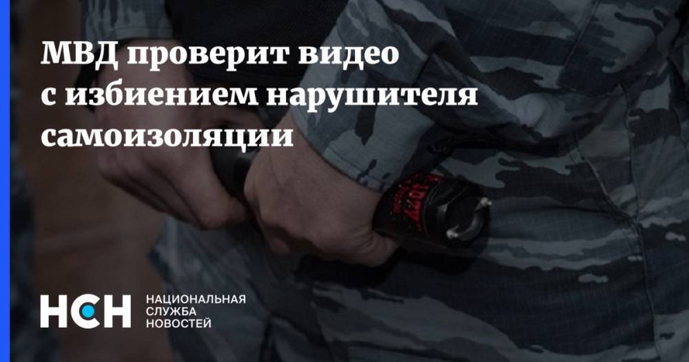 МВД проверит видео с избиением нарушителя самоизоляции - nsn.fm - Москва - Россия