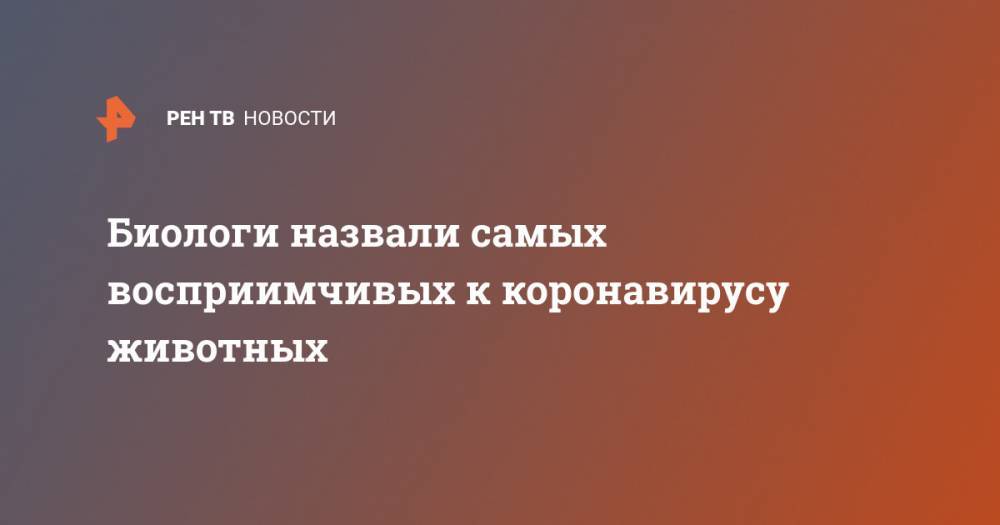 Биологи назвали самых восприимчивых к коронавирусу животных - ren.tv - Китай - США - Канада