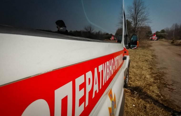 Пожары в зоне Чернобыля добрались до границы с Белоруссией - news.ru - Украина - Белоруссия