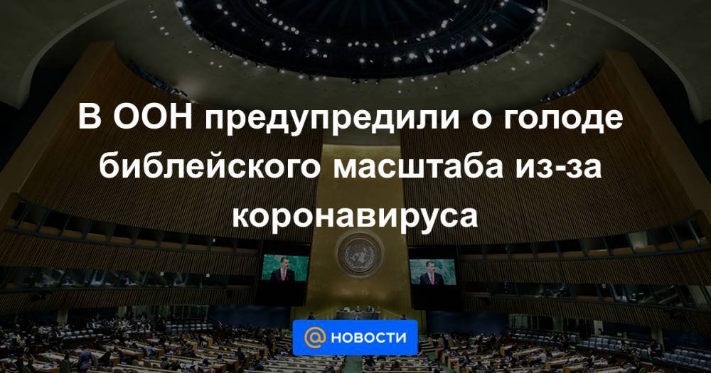 Дмитрий Полянский - В ООН предупредили о голоде библейского масштаба из-за коронавируса - news.mail.ru - Россия