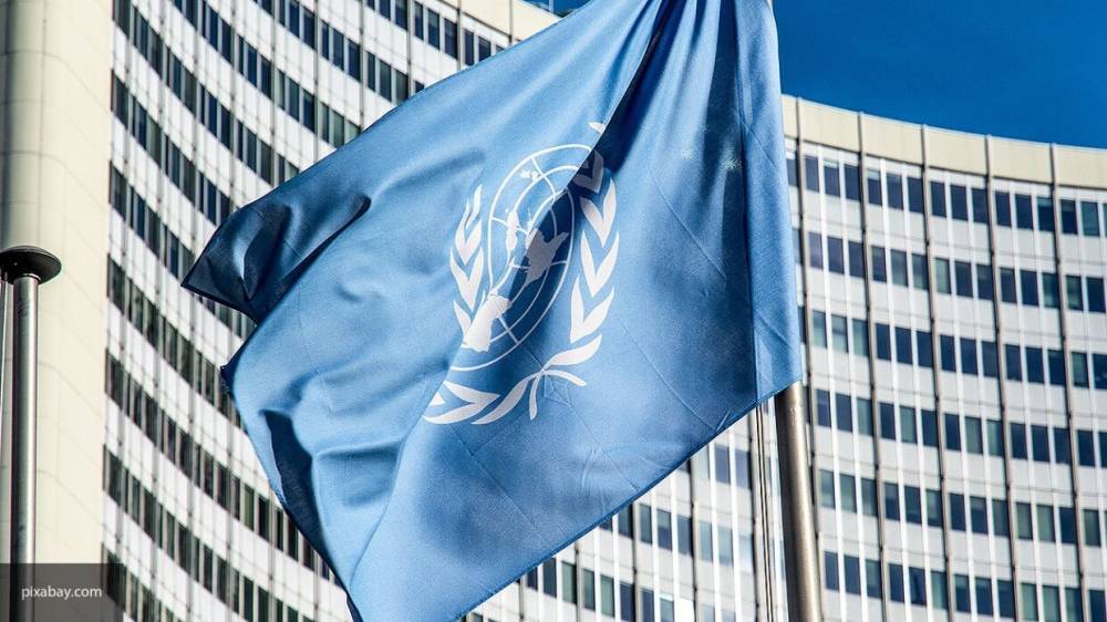 Мишель Бачелет - Группа стран призвала ООН к отмене санкций для борьбы с пандемией COVID-19 - polit.info - Россия - Китай - Сирия - КНДР - Венесуэла - Иран - Камбоджа - Куба - Зимбабве - Никарагуа