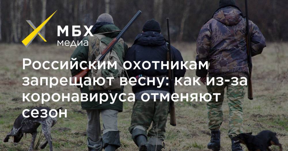 Дмитрий Кобылкин - Российским охотникам запрещают весну: как из-за коронавируса отменяют сезон - mbk.news - Россия