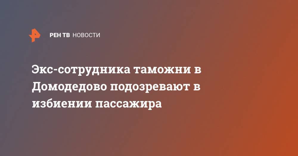 Елена Марковская - Экс-сотрудника таможни в Домодедово подозревают в избиении пассажира - ren.tv - Москва - Россия