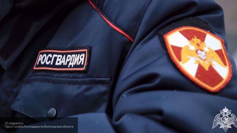 СК возбудил уголовное дело за насилие над росгвардейцами во Владикавказе - politros.com - Владикавказ