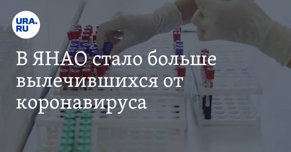 Татьяна Бучкова - В ЯНАО стало больше вылечившихся от коронавируса - ura.news - Салехард - окр. Янао - район Пуровский