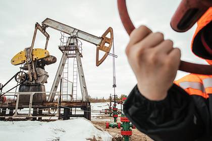 Дмитрий Песков - Александр Новак - В Кремле отказались реагировать на обвал нефти - lenta.ru - Россия