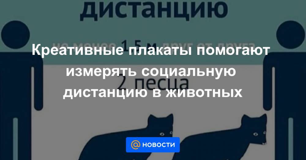 Екатерина Гура - Креативные плакаты помогают измерять социальную дистанцию в животных - news.mail.ru - Россия - Австралия