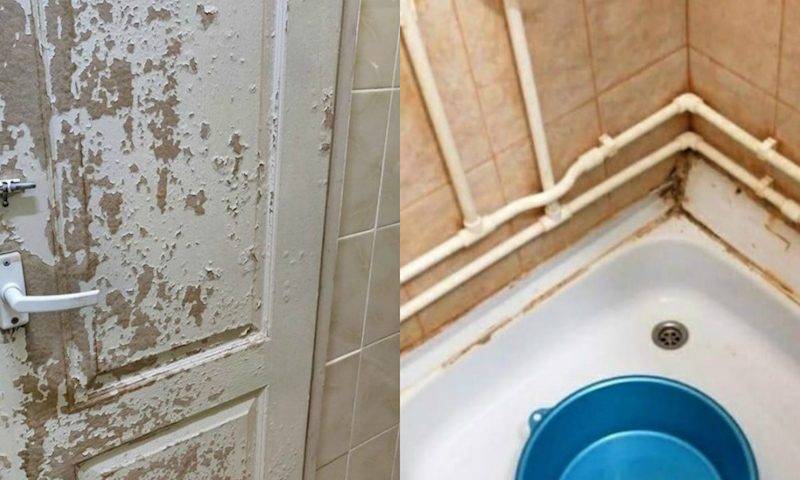 «Скотские условия» vs пансионат: как изолировали начальство и рядовых работников Ростовской АЭС - bloknot.ru - Волгодонск