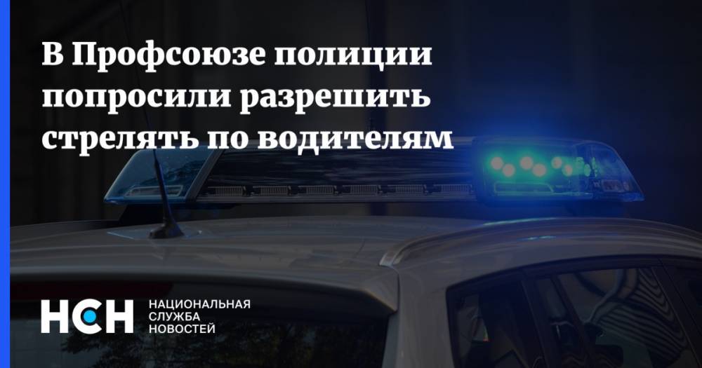 Михаил Пашкин - В Профсоюзе полиции попросили разрешить стрелять по водителям - nsn.fm - Москва