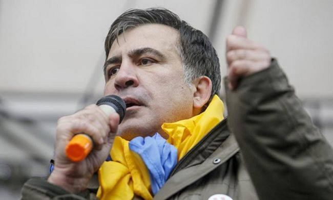Михаил Саакашвили - Евгения Кравчук - Михаил Саакашвили может стать вице-премьером в правительстве Украины - eadaily.com - Украина