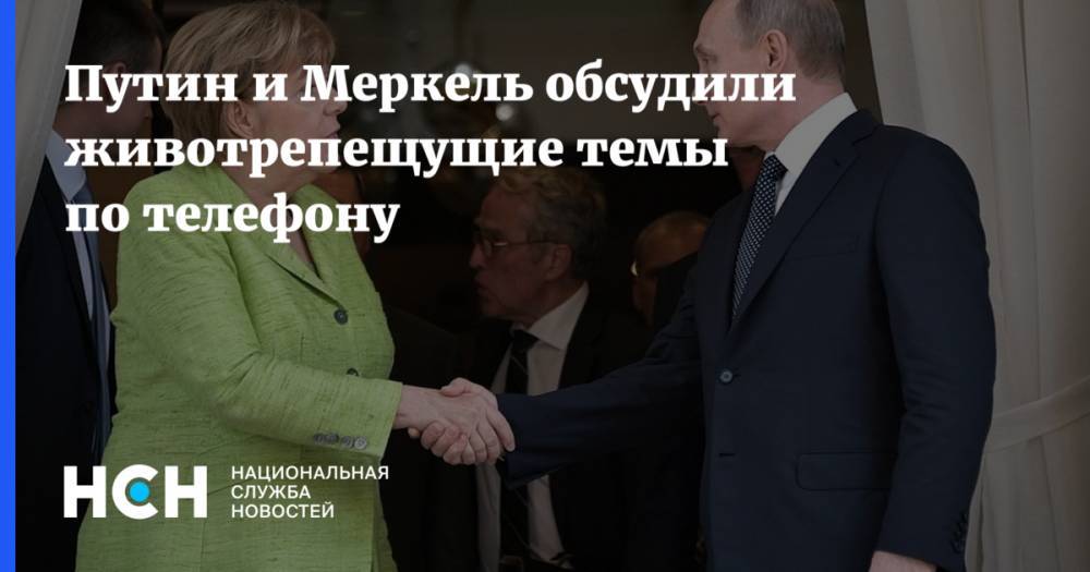Владимир Путин - Ангела Меркель - Путин и Меркель обсудили животрепещущие темы по телефону - nsn.fm - Россия - Сирия - Украина - Киев - Германия - Ливия - Донецкая обл.