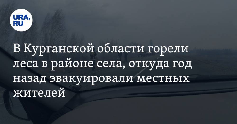 В Курганской области горели леса в районе села, откуда год назад эвакуировали местных жителей. ФОТО - ura.news - Россия - Курганская обл. - район Кетовский