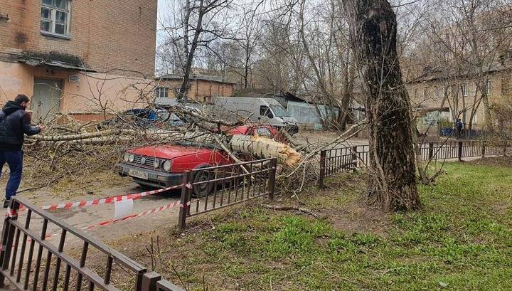 Петр Бирюков - Ураганный ветер повалил более 30 деревьев в Москве - vesti.ru - Москва - Московская обл.